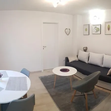 Kiwi In A Quite Area * Banja Luka