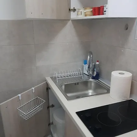 Kiwi In A Quite Area * Banja Luka