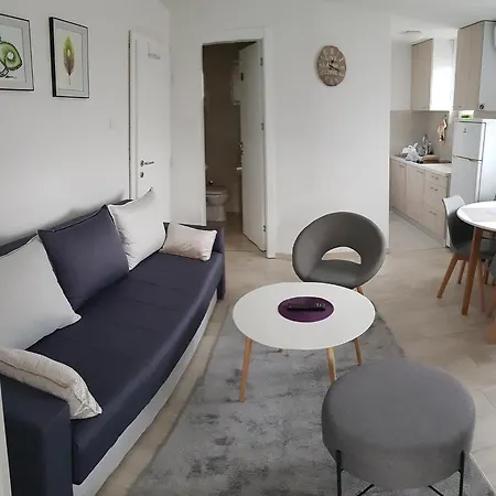 Kiwi In A Quite Area *