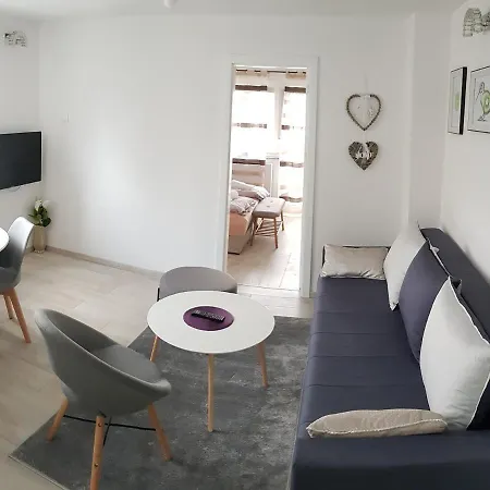 Kiwi In A Quite Area