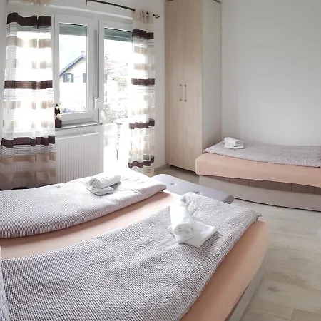 Kiwi In A Quite Area Banja Luka