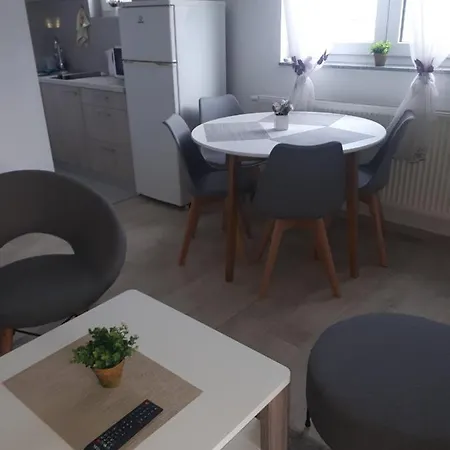 Kiwi In A Quite Area *