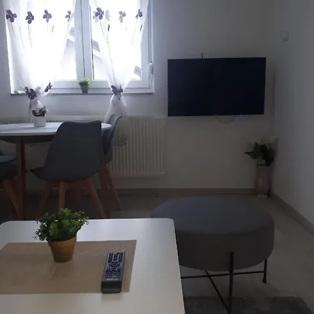 Διαμέρισμα Kiwi In A Quite Area Μπάνια Λούκα