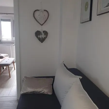 Kiwi In A Quite Area *