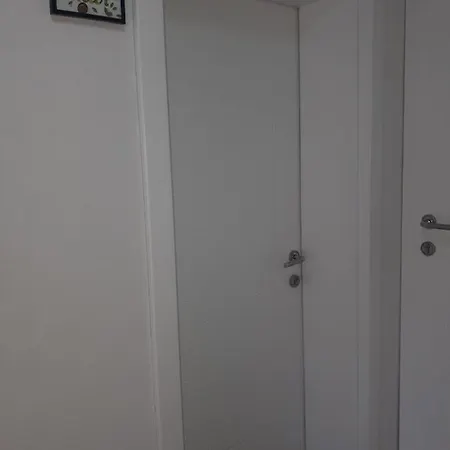 Kiwi In A Quite Area