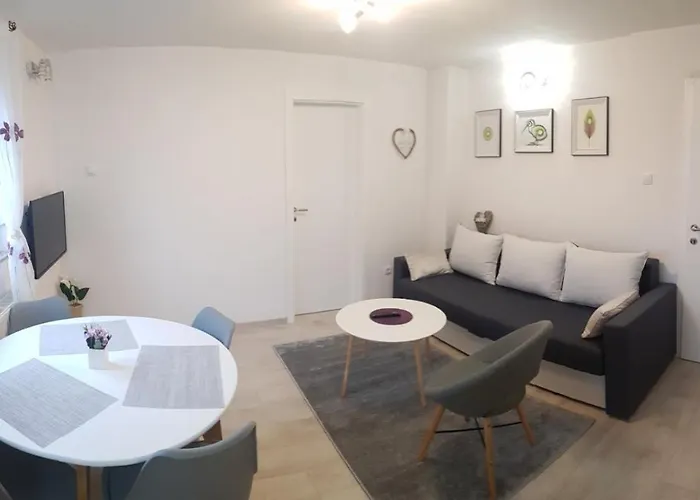 Kiwi In A Quite Area * Banja Luka