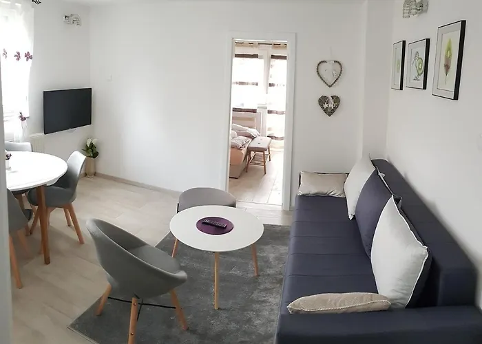 Kiwi In A Quite Area