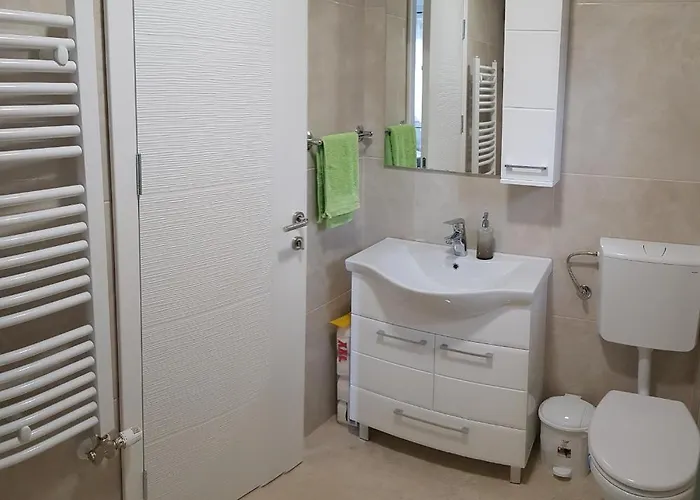 Kiwi In A Quite Area Banja Luka