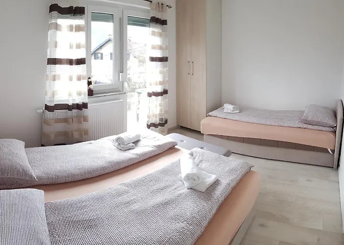 Kiwi In A Quite Area Banja Luka