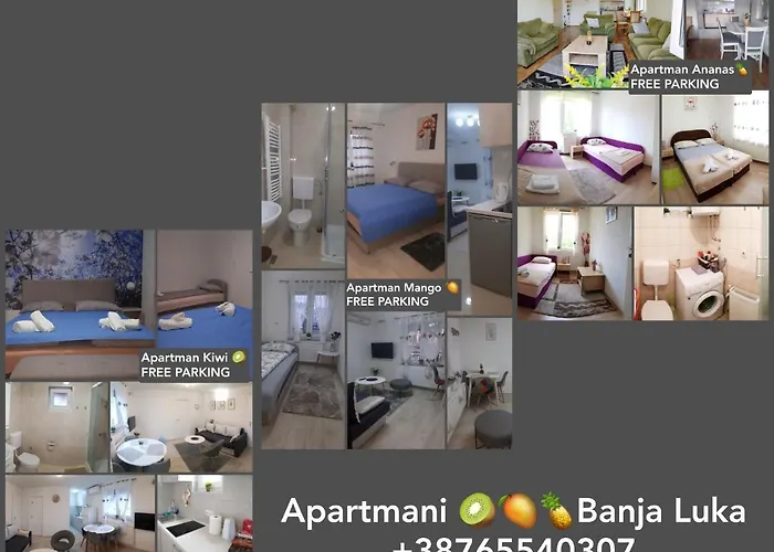 Kiwi In A Quite Area Banja Luka