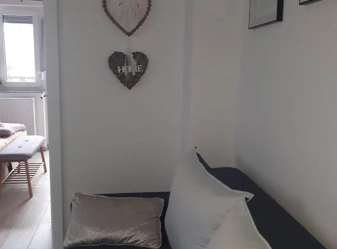 Kiwi In A Quite Area *